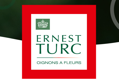 chapter-turc