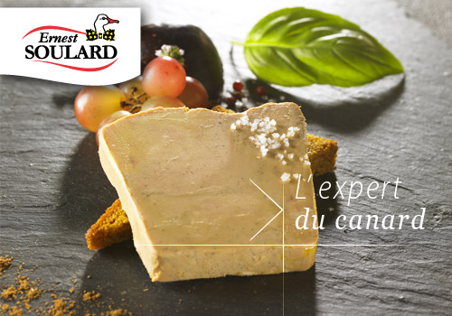 ernest soulard canard