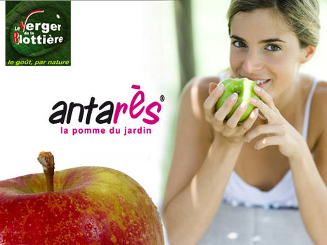 verger de la blottiere antares
