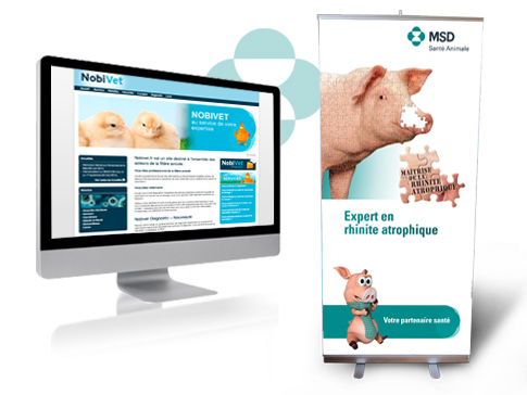 VISUEL_CENTRAL_MSD
