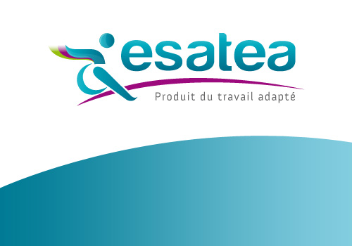 VISUEL_GAUCHE_ESATEA