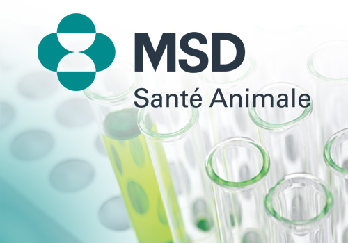 VISUEL_GAUCHE_MSD