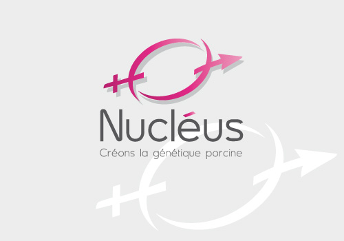VISUEL_GAUCHE_NUCLEUS