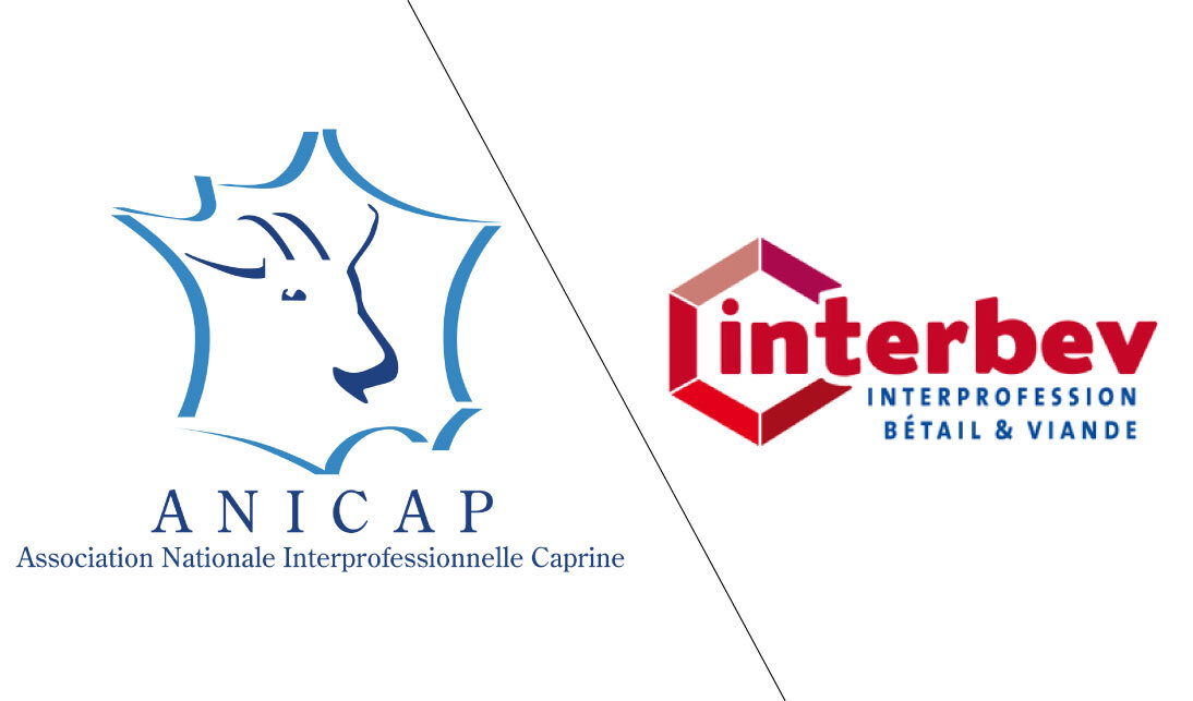 CP ANICAP + INTERBEV - Vignette