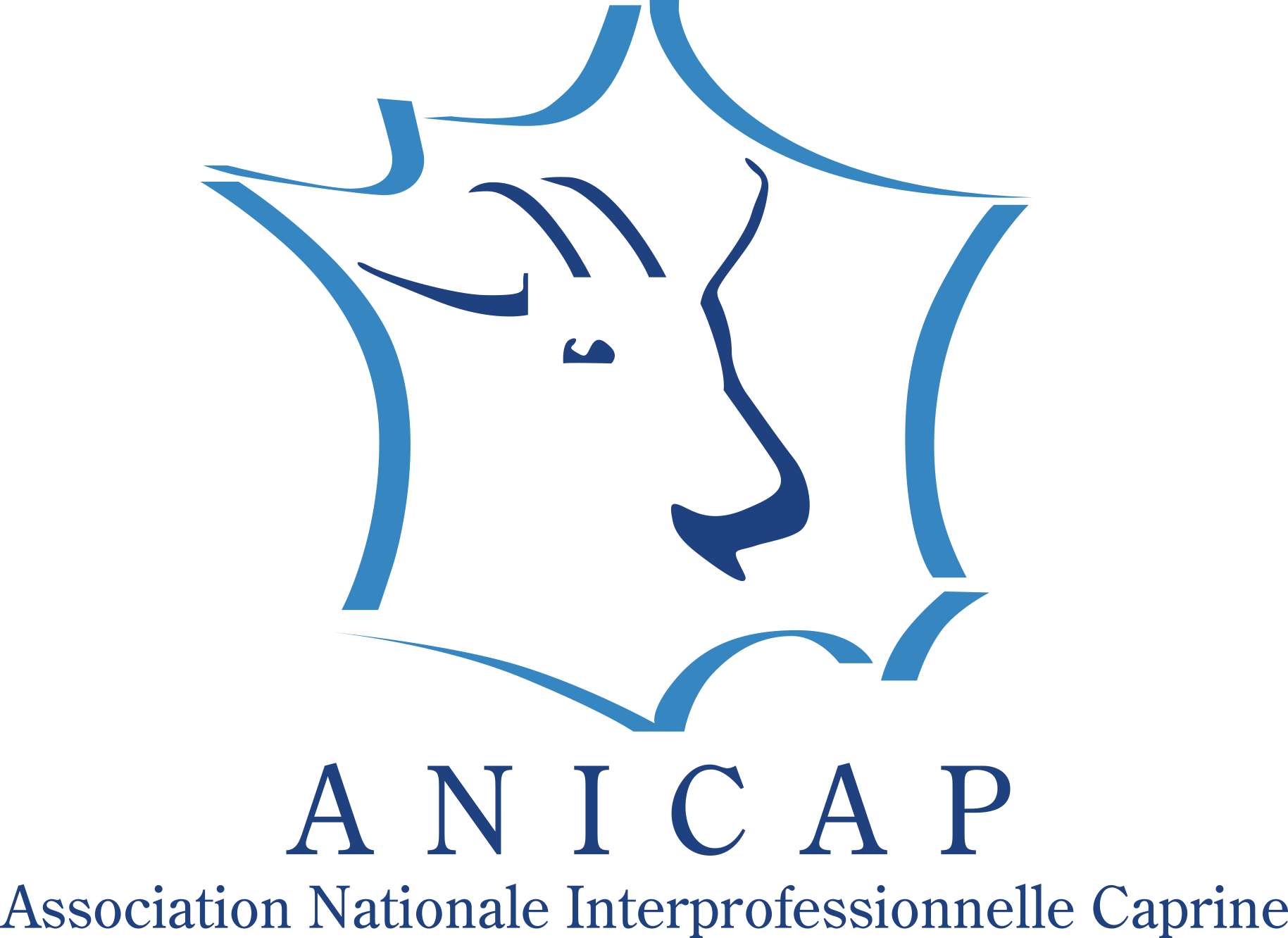 Logo ANICAP