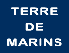Logo TDM