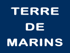 Logo TDM