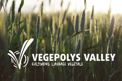 Logo blanc Vegepolys