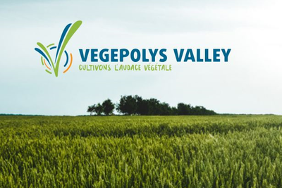 Logo couleurs Vegepolys
