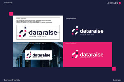 Logo-dataraise