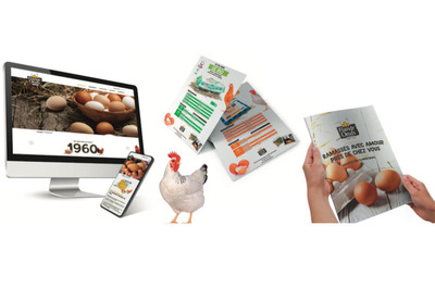 Site web + brochure Flandr'Oeufs