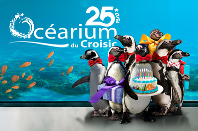 Ocearium vignette